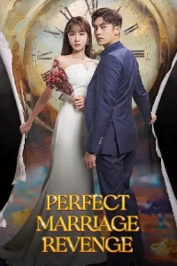 Perfect Marriage Revenge (2023)